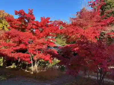 大森寺(愛知県)