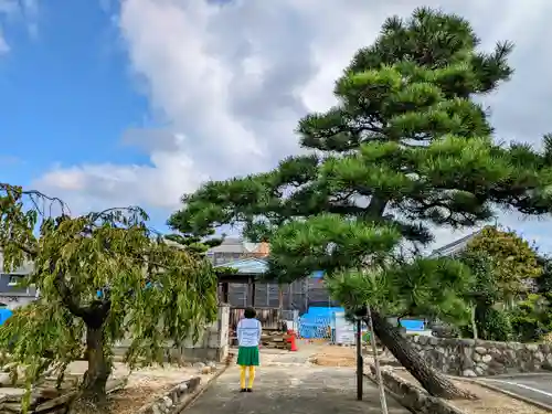 妙禅寺の本殿・本堂
