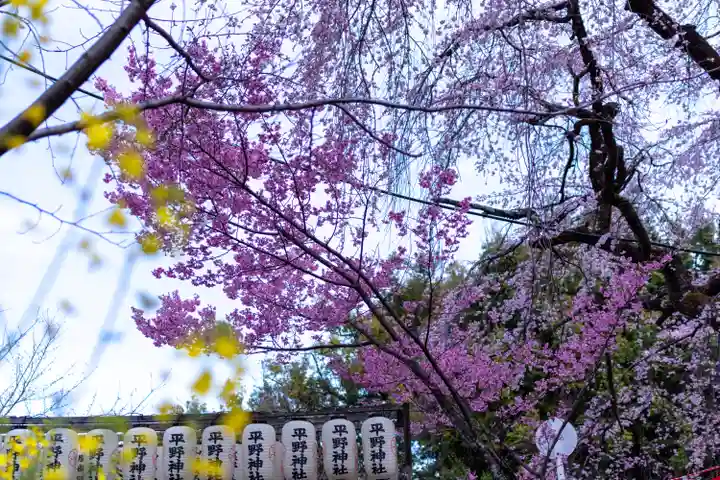 平野神社(京都府)