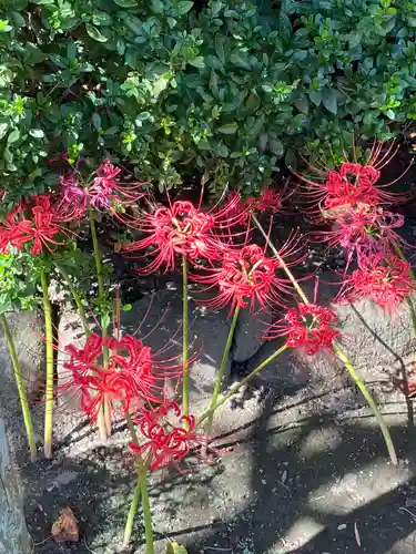 極楽寺（霊鷲山感應院極楽律寺）の自然