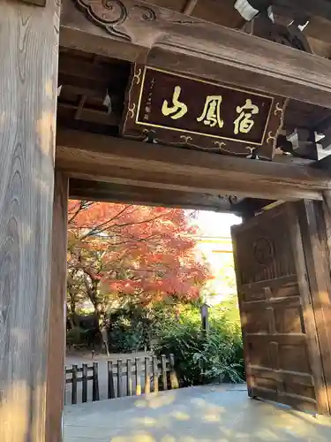 高円寺(東京都)