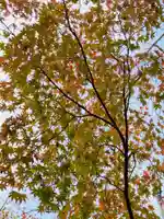 龍安寺(京都府)