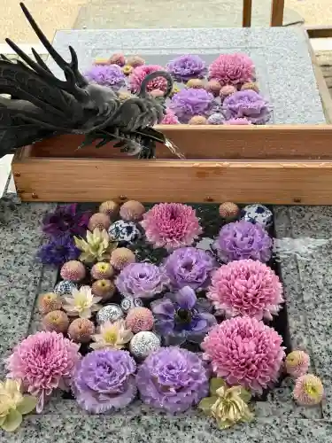 川越八幡宮の{uncategorized: "未分類", other: "その他", undefined: "問題あり", building: "その他建物", grave: "お墓", sacred_gate: "鳥居", guardian: "狛犬", statue: "像", buddha: "仏像", history: "歴史", nature: "自然", garden: "庭園", animal: "動物", pagoda: "塔", temizu: "手水舎", mountain_gate: "山門・神門", sanctuary: "本殿・本堂", subordinate: "末社・摂社", art: "芸術", scenery: "景色", jizo: "地蔵", ema: "絵馬", goshuin: "御朱印", omikuji: "おみくじ", items: "授与品その他", amulet: "お守り", goshuincho: "御朱印帳", eats: "食事", festival: "お祭り", votive_dance: "神楽", shichigosan: "七五三参", wedding: "結婚式", experience: "体験その他", initially: "初詣", around: "周辺", anti_infection: "感染症対策"}