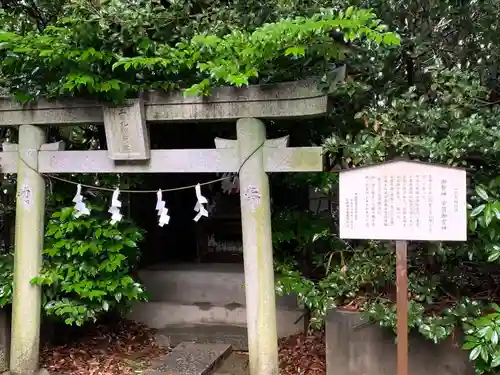 忍　諏訪神社・東照宮　(埼玉県)