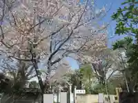 永寿院(東京都)