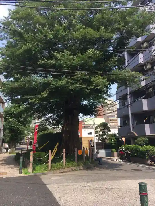 澤蔵司稲荷(慈眼院)(東京都)