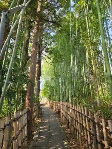 神峰神社(茨城県)