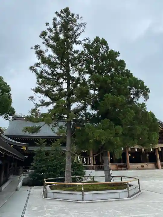 寒川神社(神奈川県)