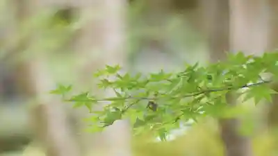 祇王寺(京都府)