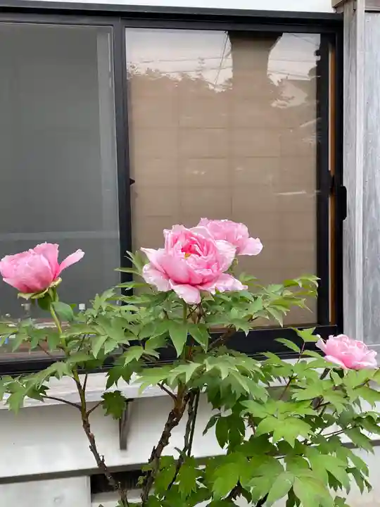 梅香寺(三重県)