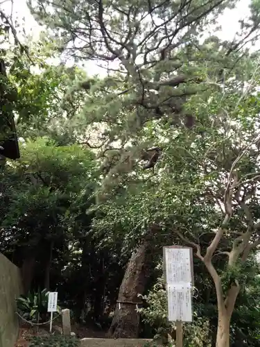 第六天神社の自然