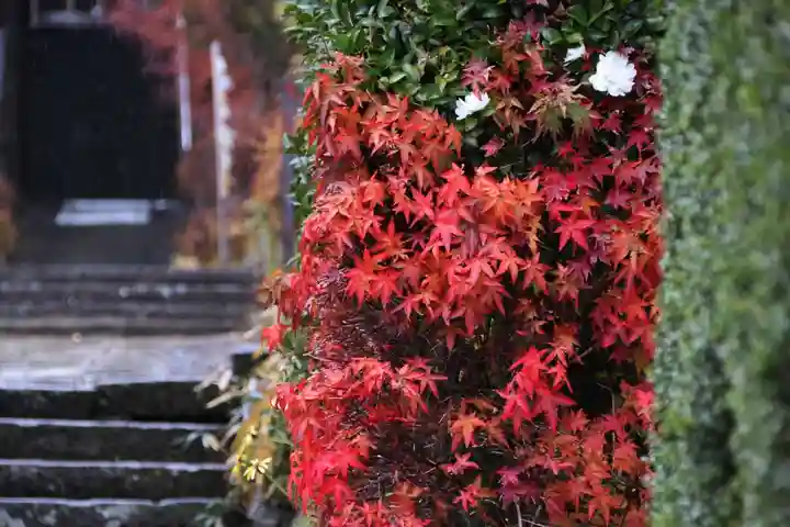 豊景神社の景色