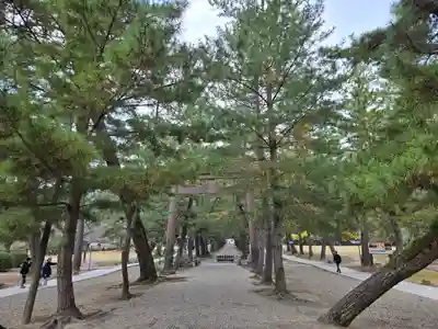 出雲大社(島根県)