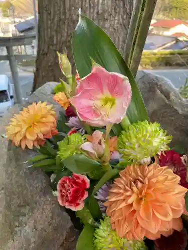 岡部春日神社～👹鬼門よけの🌺花咲く🌺やしろ～の手水舎