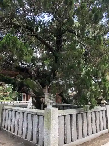 高砂神社の庭園