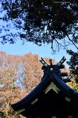 鷲宮神社の本殿