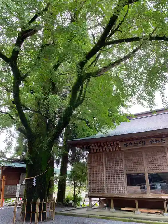 豊玉姫神社(鹿児島県)
