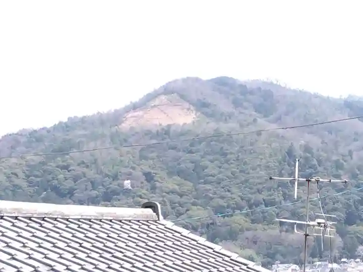 竹中稲荷神社(吉田神社末社)(京都府)