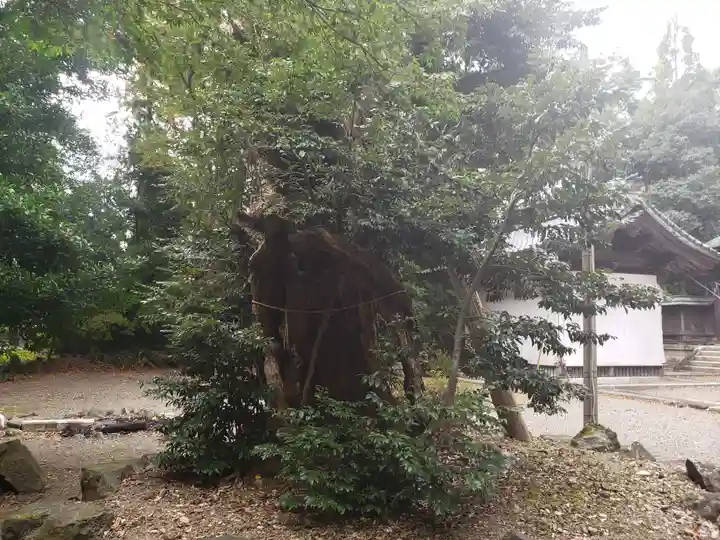 横山神社(滋賀県)