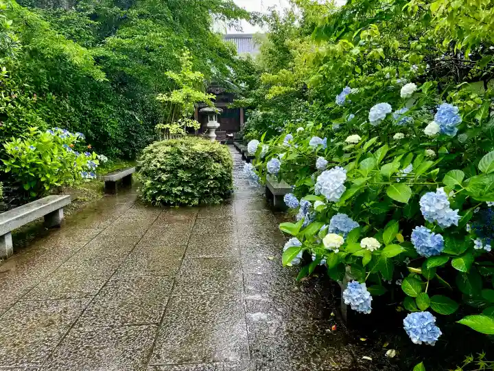 資福寺の{uncategorized: "未分類", other: "その他", undefined: "問題あり", building: "その他建物", grave: "お墓", sacred_gate: "鳥居", guardian: "狛犬", statue: "像", buddha: "仏像", history: "歴史", nature: "自然", garden: "庭園", animal: "動物", pagoda: "塔", temizu: "手水舎", mountain_gate: "山門・神門", sanctuary: "本殿・本堂", subordinate: "末社・摂社", art: "芸術", scenery: "景色", jizo: "地蔵", ema: "絵馬", goshuin: "御朱印", omikuji: "おみくじ", items: "授与品その他", amulet: "お守り", goshuincho: "御朱印帳", eats: "食事", festival: "お祭り", votive_dance: "神楽", shichigosan: "七五三参", wedding: "結婚式", experience: "体験その他", initially: "初詣", around: "周辺", anti_infection: "感染症対策"}