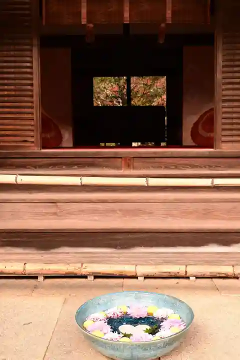 柳谷観音 楊谷寺(京都府)