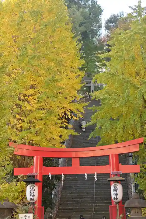 愛宕神社の鳥居