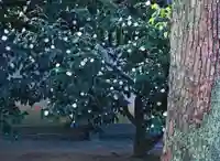 三津厳島神社(愛媛県)