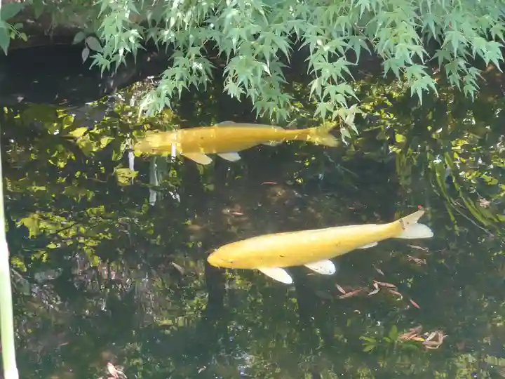 宇賀神社(神奈川県)