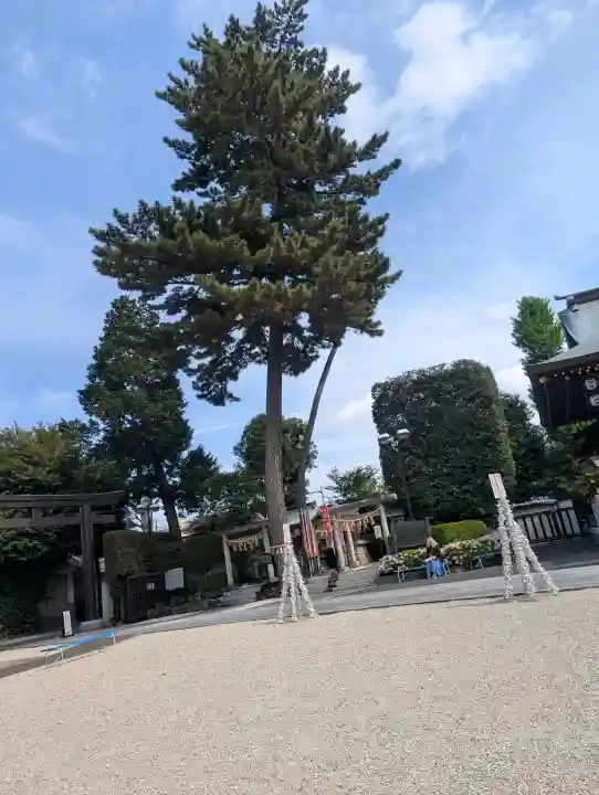 中野沼袋氷川神社の{uncategorized: "未分類", other: "その他", undefined: "問題あり", building: "その他建物", grave: "お墓", sacred_gate: "鳥居", guardian: "狛犬", statue: "像", buddha: "仏像", history: "歴史", nature: "自然", garden: "庭園", animal: "動物", pagoda: "塔", temizu: "手水舎", mountain_gate: "山門・神門", sanctuary: "本殿・本堂", subordinate: "末社・摂社", art: "芸術", scenery: "景色", jizo: "地蔵", ema: "絵馬", goshuin: "御朱印", omikuji: "おみくじ", items: "授与品その他", amulet: "お守り", goshuincho: "御朱印帳", eats: "食事", festival: "お祭り", votive_dance: "神楽", shichigosan: "七五三参", wedding: "結婚式", experience: "体験その他", initially: "初詣", around: "周辺", anti_infection: "感染症対策"}