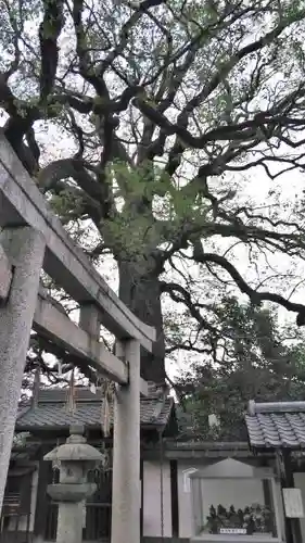 新熊野神社のその他建物