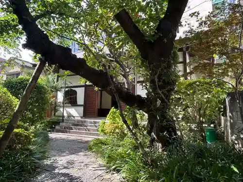 金竜寺(東京都)