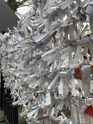 田無神社のおみくじ