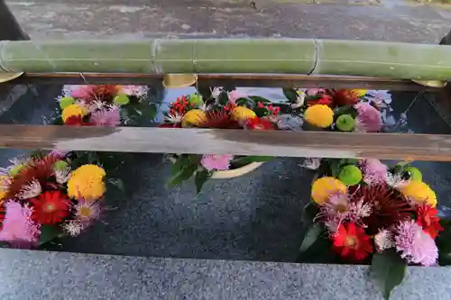 豊景神社の手水