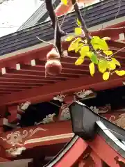 秋葉神社(東京都)