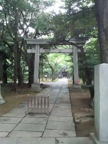 赤坂氷川神社の鳥居