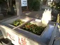 比々多神社(神奈川県)