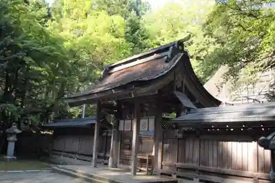若狭彦神社（上社）の本殿・本堂