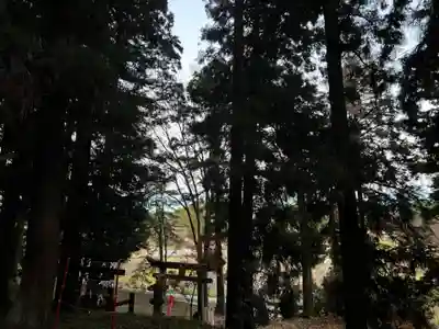 大宮温泉神社(栃木県)