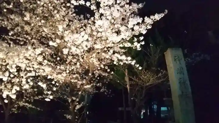 小垣江神明神社の自然