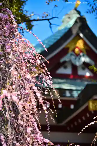 亀戸天神社(東京都)