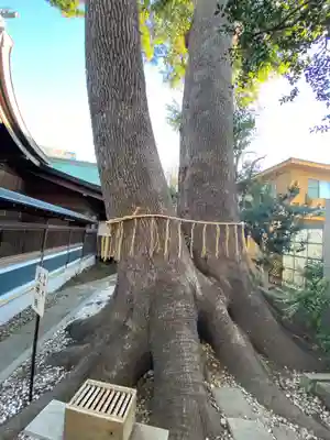 鳩ヶ谷氷川神社(埼玉県)
