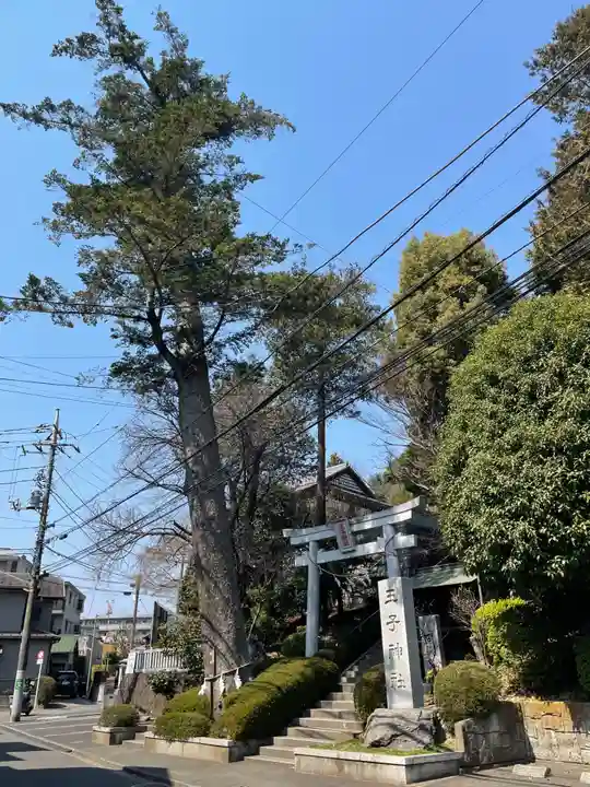 長津田王子神社(神奈川県)