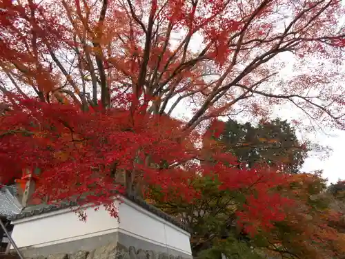 善峯寺(京都府)