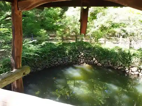 唐澤山神社の庭園