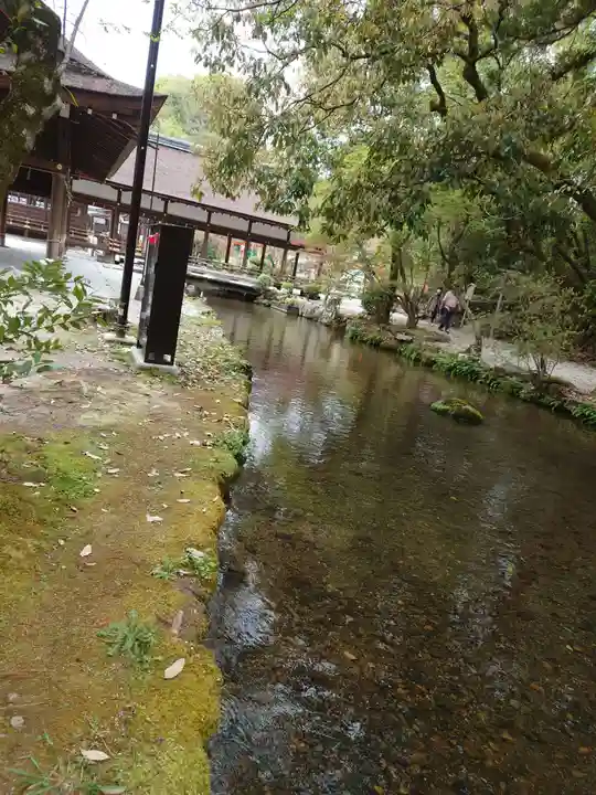 賀茂別雷神社(上賀茂神社)(京都府)