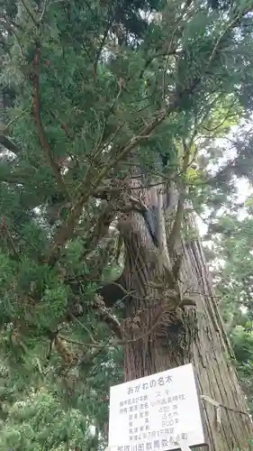 小川温泉神社のその他建物