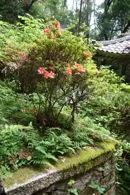 春日神社の自然