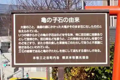 亀の子石神社（亀の子様）(神奈川県)