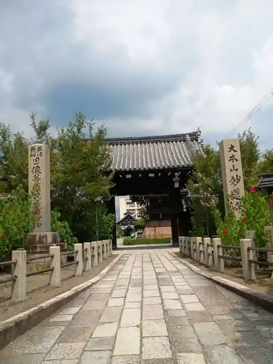 妙蓮寺(京都府)