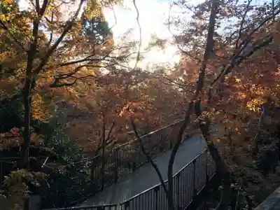 清水寺(京都府)
